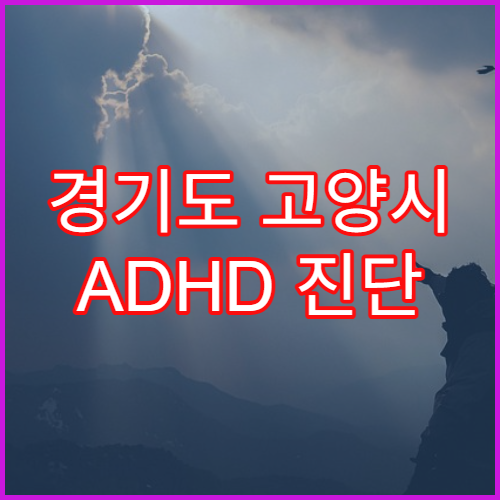 경기도 고양시 ADHD 진단 치료 병원 추천 소아