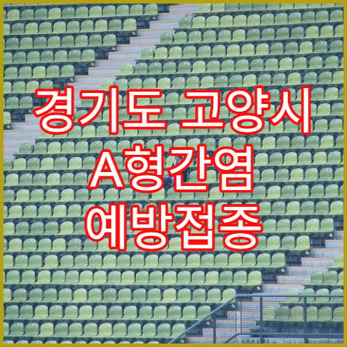 경기도 고양시 A형간염 예방접종 안내 및 비용