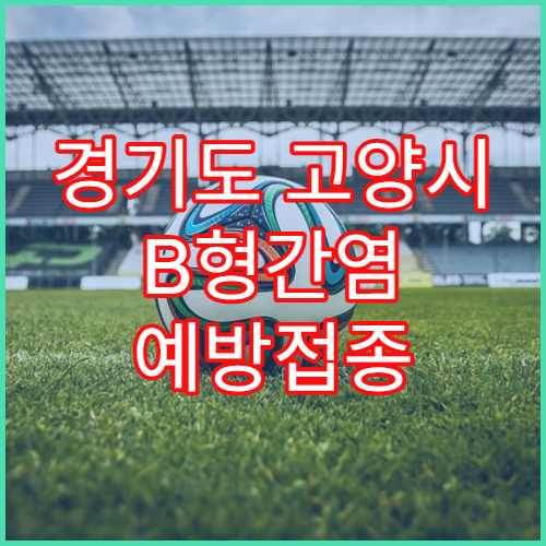 경기도 고양시 B형간염 예방접종 시기 병원 추천