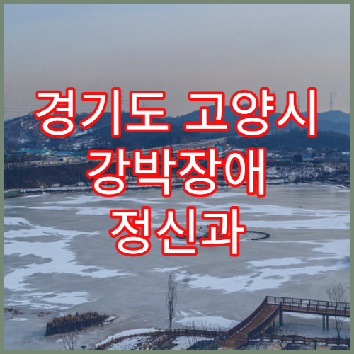 경기도 고양시 강박장애 정신과 추천 병원 상담