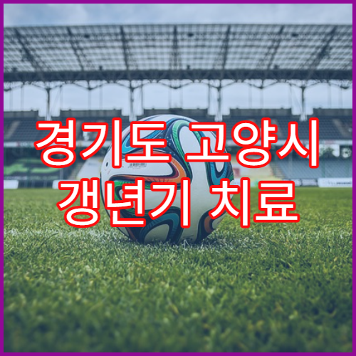 경기도 고양시 갱년기 치료 여성 한방 건강관리 전문 한의원 정보 2026