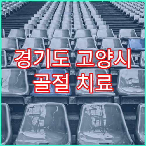 경기도 고양시 골절 치료 물리치료 병원 소개 추천