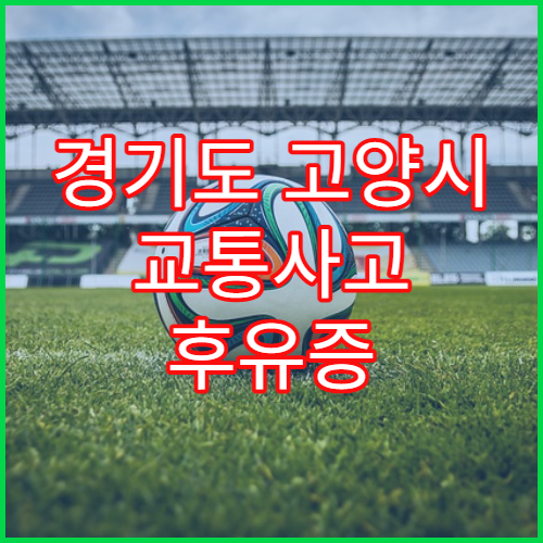 경기도 고양시 교통사고 후유증 한방 재활 통증 관리 한의원 추천 리스트