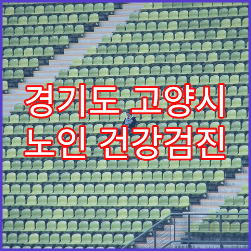 경기도 고양시 노인 건강검진 지원 혜택 병원 60대