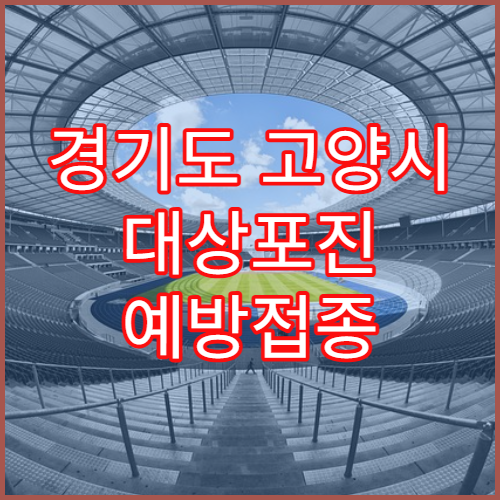 경기도 고양시 대상포진 예방접종 효과 병원 60대