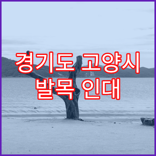 경기도 고양시 발목 인대 손상 재활 과정 병원 덕양구