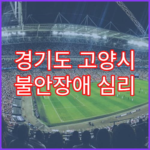 경기도 고양시 불안장애 심리 상담 병원 비용 안내