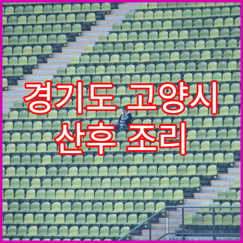 경기도 고양시 산후 조리 산후 보약 처방 한의원 정보 덕양구