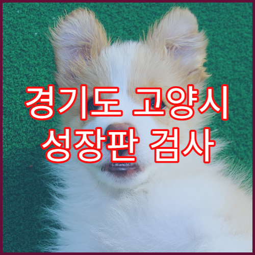 경기도 고양시 성장판 검사 어린이 성장치료 한의원 추천 빠른 예약