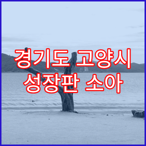 경기도 고양시 성장판 소아 정형외과 안내 및 비용