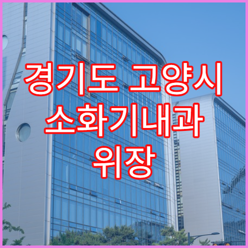 경기도 고양시 소화기내과 위장 질환 치료 병원 빠른 예약