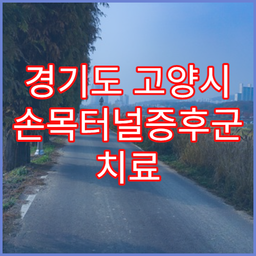 경기도 고양시 손목터널증후군 치료 병원 추천 리스트