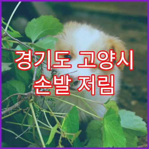 경기도 고양시 손발 저림 신경과 병원 정보 및 치료비