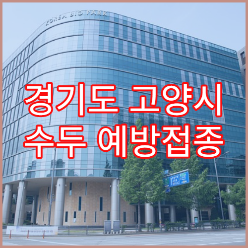 경기도 고양시 수두 예방접종 연령 병원 소아과