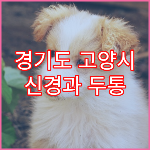 경기도 고양시 신경과 두통 신경 질환 검사 병원 안내