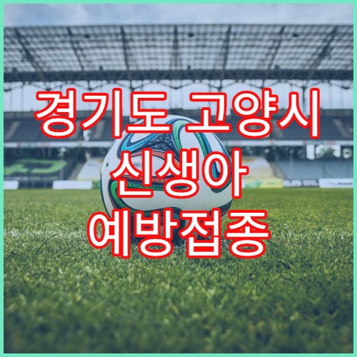 경기도 고양시 신생아 예방접종 필수 항목 병원
