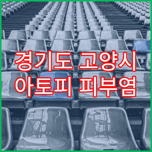 경기도 고양시 아토피 피부염 전문 치료 추천