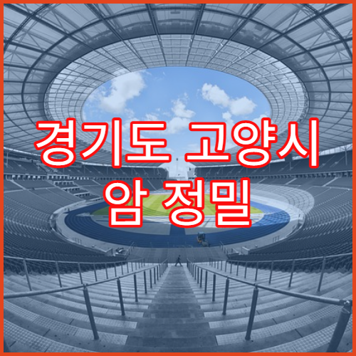 경기도 고양시 암 정밀 검진 예약 안내 병원 빠른 진료