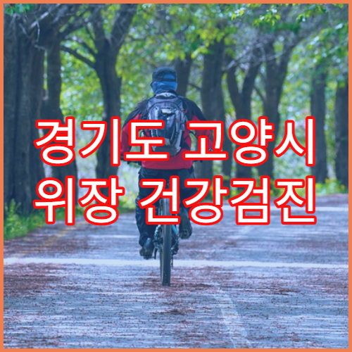 경기도 고양시 위장 건강검진 병원 준비사항 총정리 및 비용