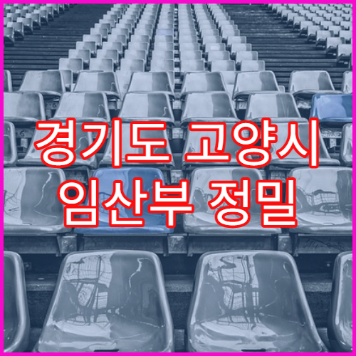 경기도 고양시 임산부 정밀 초음파 산전검사