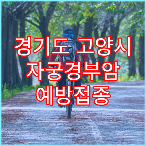 경기도 고양시 자궁경부암 예방접종 비용 여성