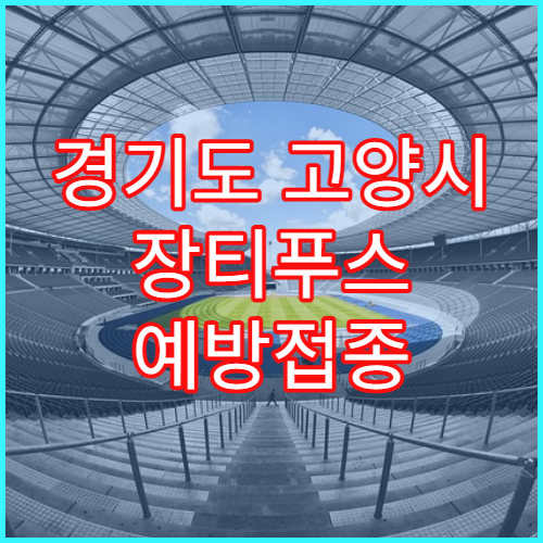 경기도 고양시 장티푸스 예방접종 정보 일산동구
