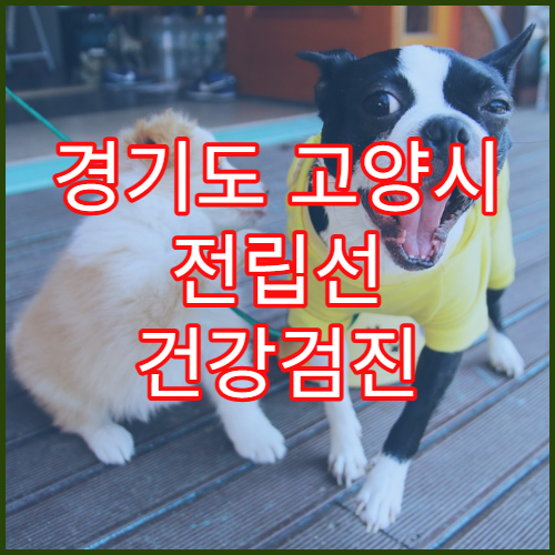경기도 고양시 전립선 건강검진 비대증 치료 50대