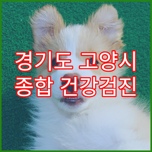 경기도 고양시 종합 건강검진 전문 병원 리스트 덕양구