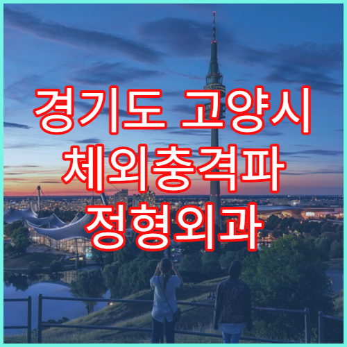 경기도 고양시 체외충격파 정형외과 병원 안내 고양시