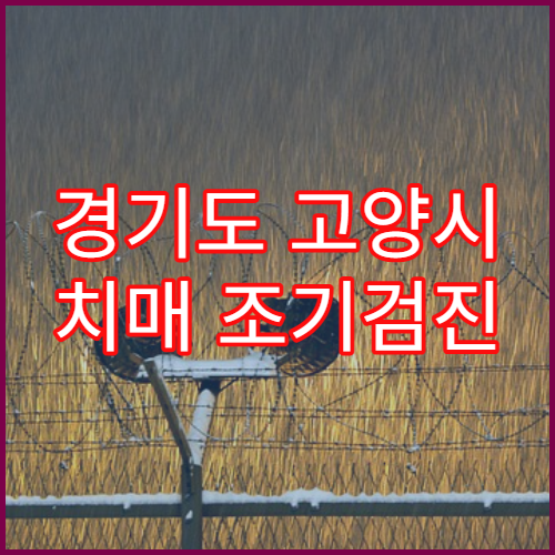 경기도 고양시 치매 조기검진 병원 정보 빠른 검사