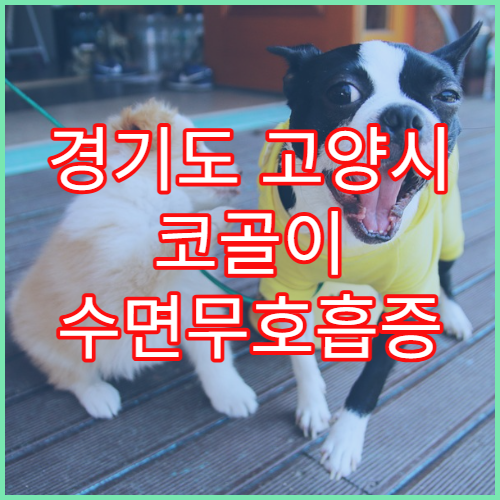 경기도 고양시 코골이 수면무호흡증 치료 추천 50대