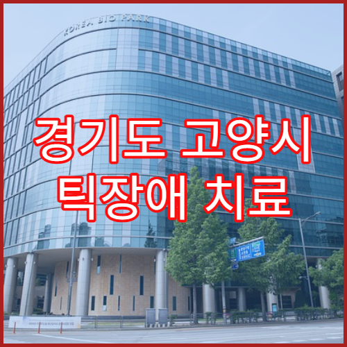 경기도 고양시 틱장애 치료 방법 안내 병원 일산
