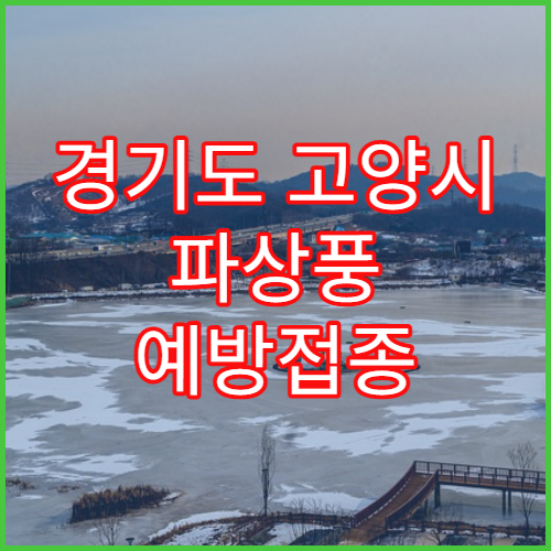 경기도 고양시 파상풍 예방접종 추가 여부 병원