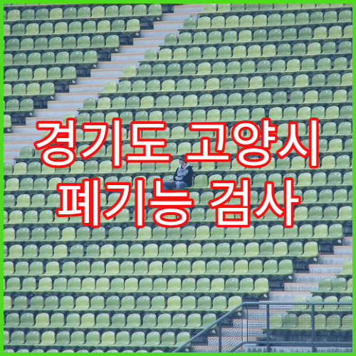 경기도 고양시 폐기능 검사 절차 소개 병원 안내