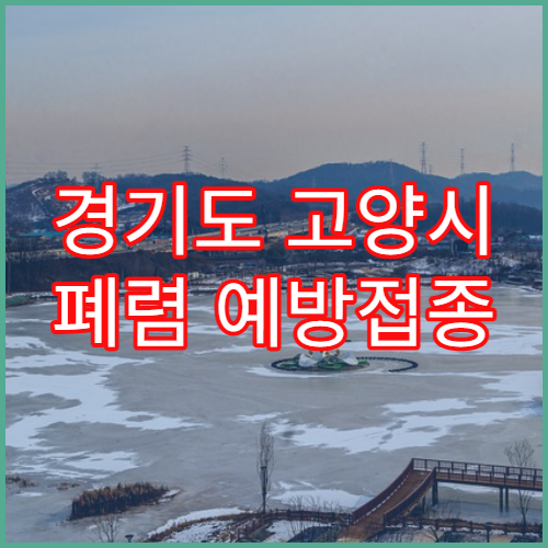경기도 고양시 폐렴 예방접종 시기 안내 병원