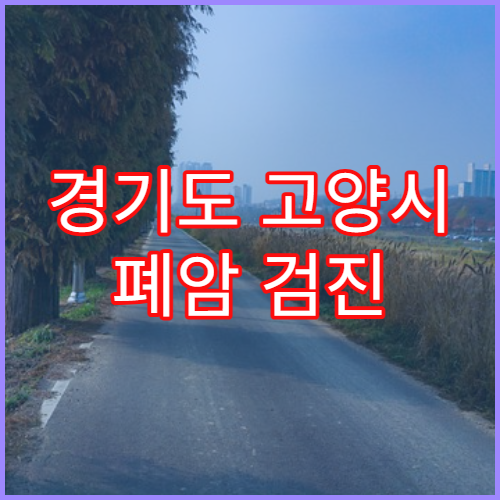 경기도 고양시 폐암 검진 조기 발견 병원 추천
