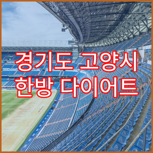 경기도 고양시 한방 다이어트 비만 치료 프로그램 한의원 소개 및 비용