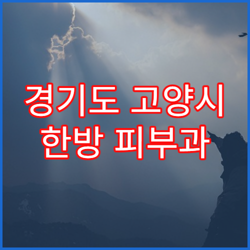 경기도 고양시 한방 피부과 여드름 피부 트러블 치료 클리닉 추천