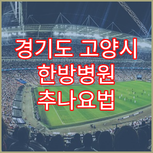 경기도 고양시 한방병원 추나요법 척추 교정 치료 받기 일산동구