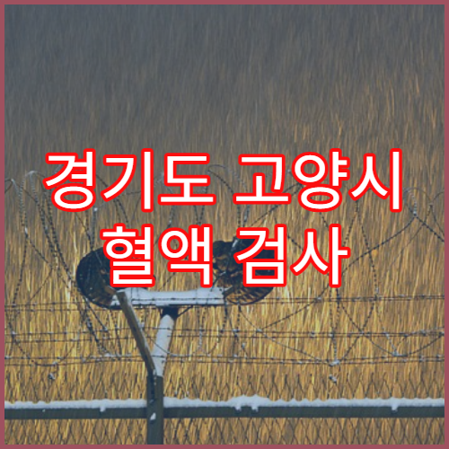 경기도 고양시 혈액 검사 정밀 병원 추천 고양시 내 최고