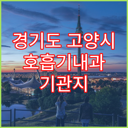 경기도 고양시 호흡기내과 기관지 치료 병원 추천 2026