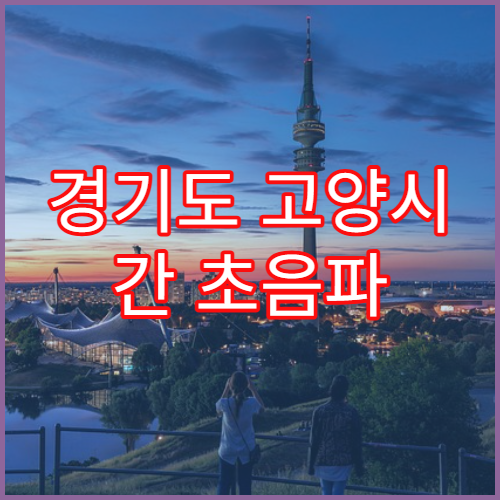 경기도 고양시 간 초음파 건강 관리 병원 비용