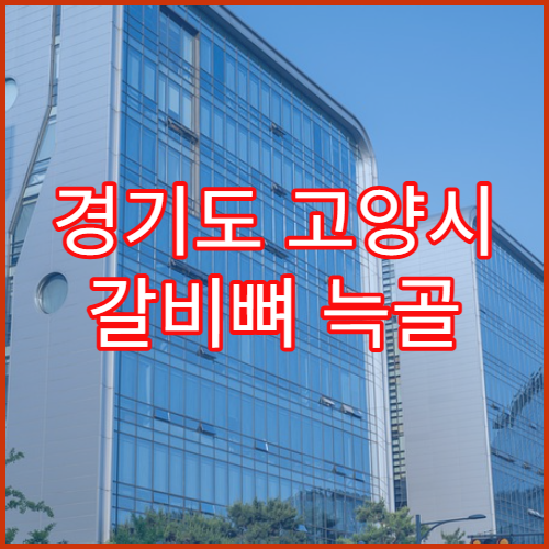 경기도 고양시 갈비뼈 늑골 골절 통증 치료 병원
