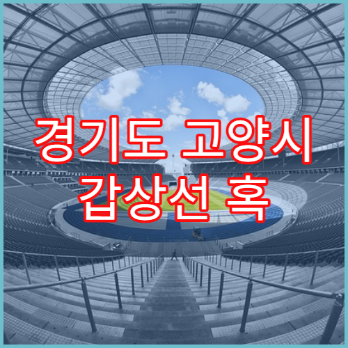 경기도 고양시 갑상선 혹 결절 검사 병원