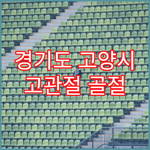 경기도 고양시 고관절 골절 재활 잘하는 병원