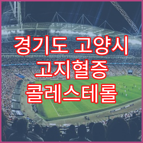 경기도 고양시 고지혈증 콜레스테롤 검사 치료