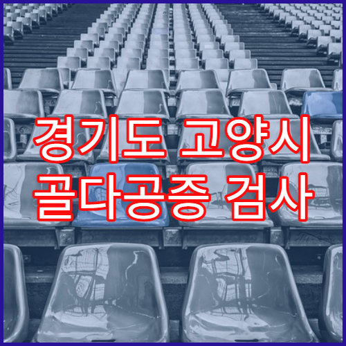 경기도 고양시 골다공증 검사 치료 병원 60대