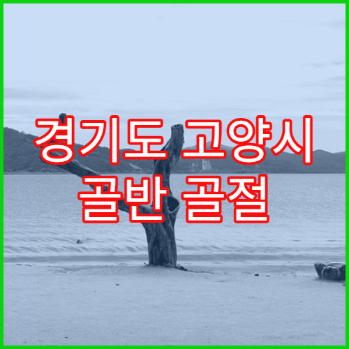 경기도 고양시 골반 골절 수술 정보 병원 빠른