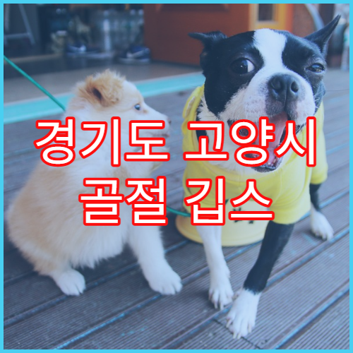 경기도 고양시 골절 깁스 통증 재활치료 병원 추천