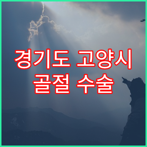 경기도 고양시 골절 수술 후 물리치료 안내 비용